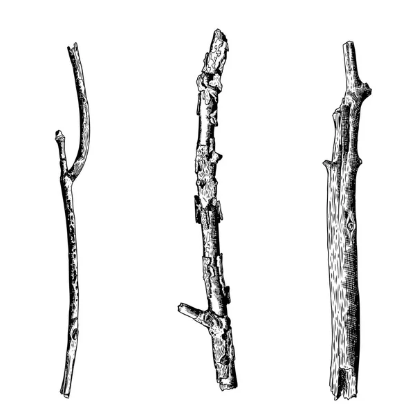 手描きの木の小枝セット — ストックベクタ