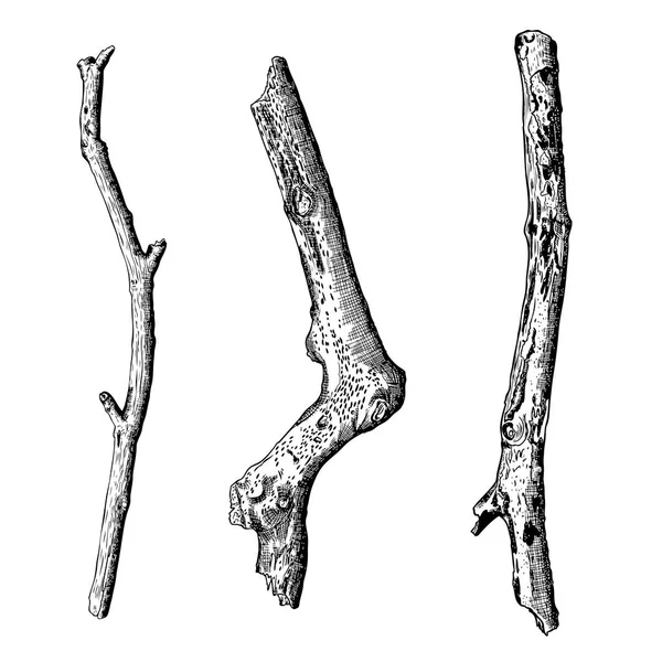 Elle çizilmiş ahşap dal kümesi