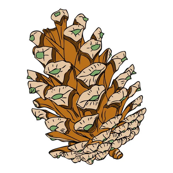 Cono de pino bosquejo dibujado a mano — Vector de stock