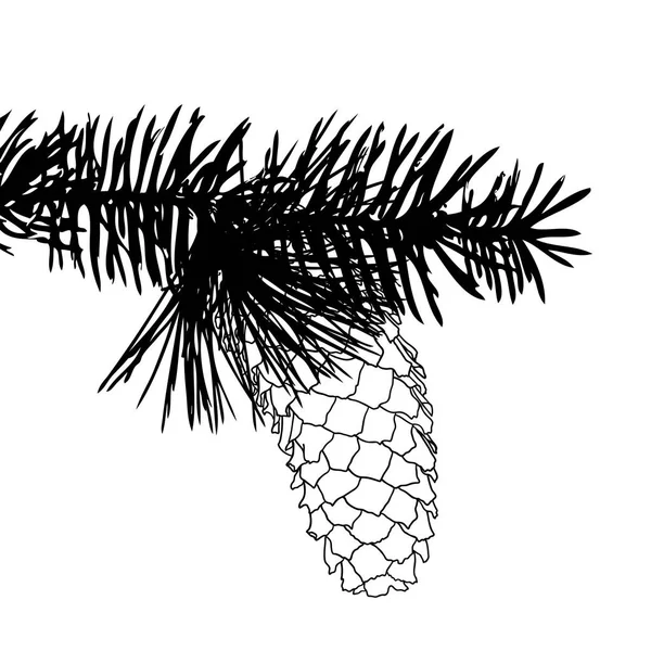 Cono de pino bosquejo dibujado a mano — Vector de stock