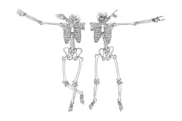 Menselijke skeletten dansen — Stockvector