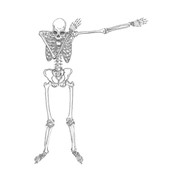 Human skeleton dancing — Stock Vector