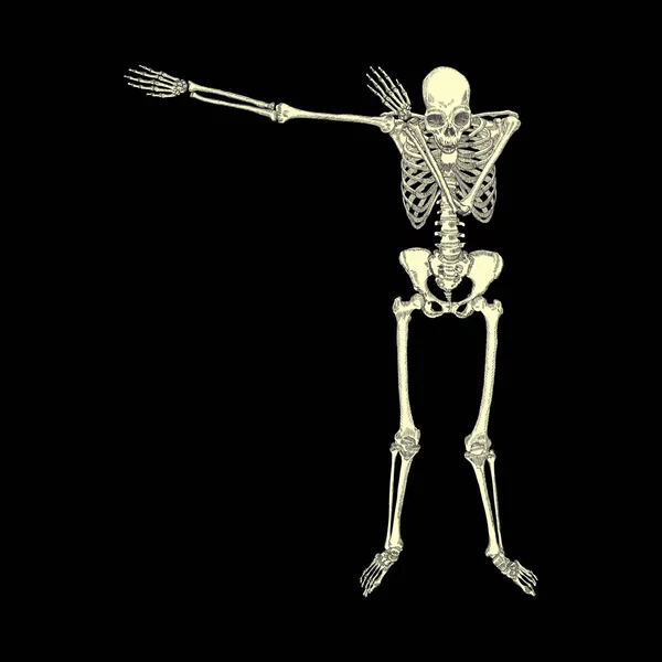 Human skeleton dancing — Stock Vector