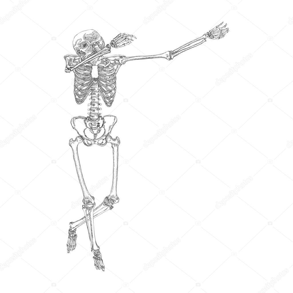 Human skeleton dancing 