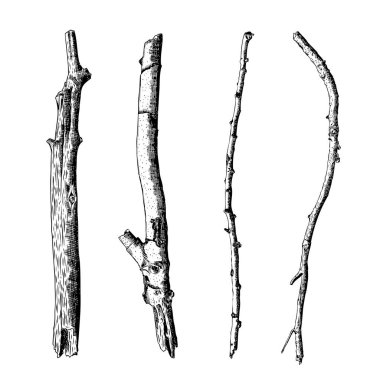 Elle çizilmiş ahşap dal kümesi