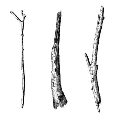 Elle çizilmiş ahşap dal kümesi