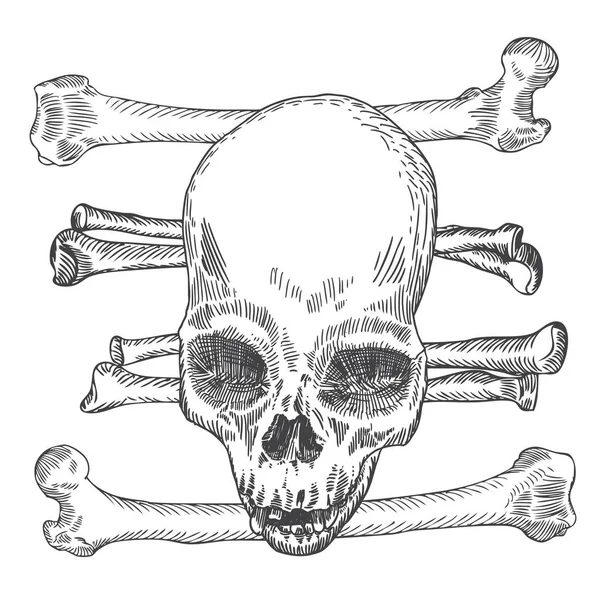 Crânio com esboço de ossos cruzados —  Vetores de Stock