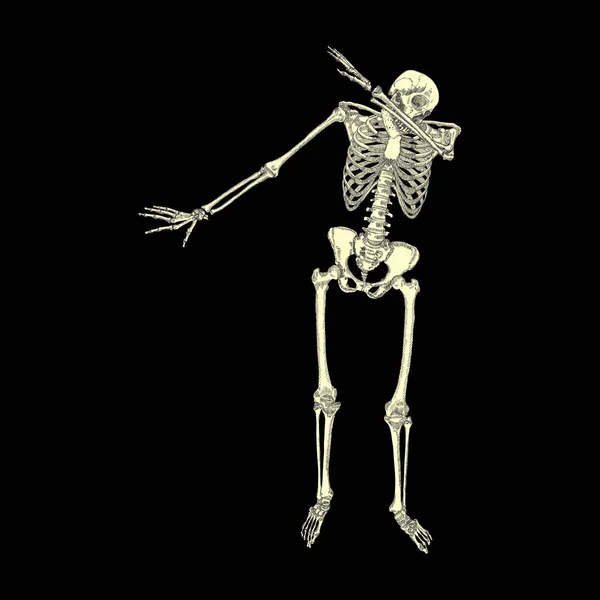 Dança do esqueleto humano —  Vetores de Stock
