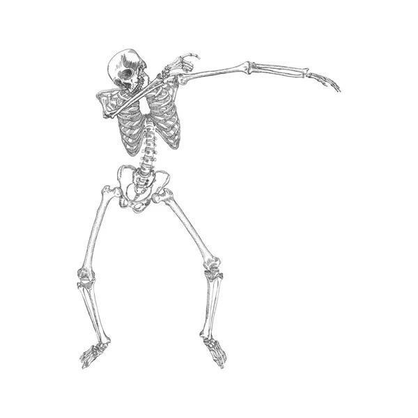 Human skeleton dancing — Stock Vector