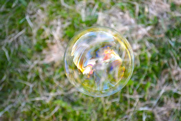 Rainbow bubble with the grass background — Stock Photo, Image