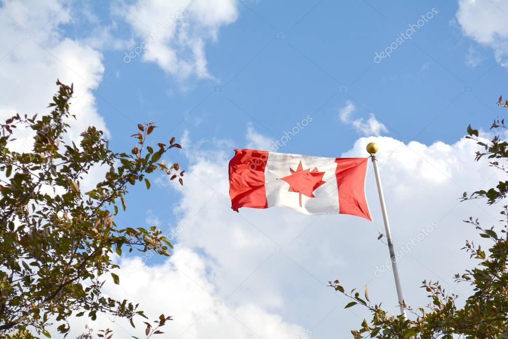Flag of Canada flying against sky
