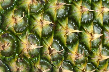 Ananas Meyve doku