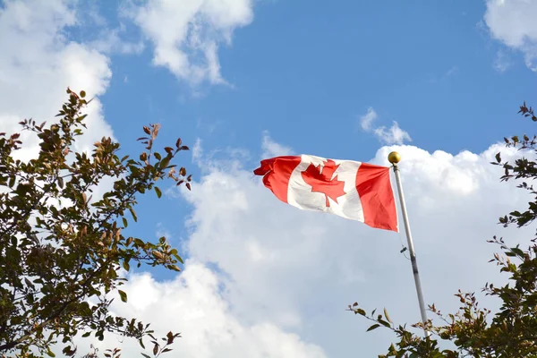 Bandeira do Canadá voando contra o céu — Fotografia de Stock