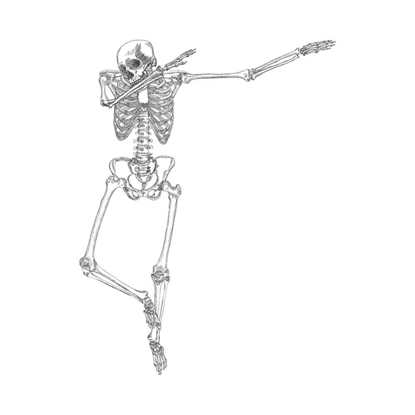 Human skeleton dancing sketch — Stock Vector