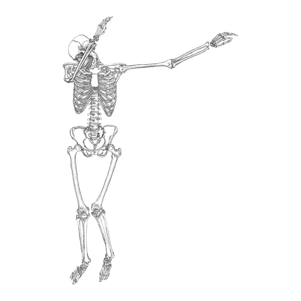 Dab Vector Art Stock Images ページ 25 Depositphotos Dab Vector Art Stock Images ページ 25 Depositphotos