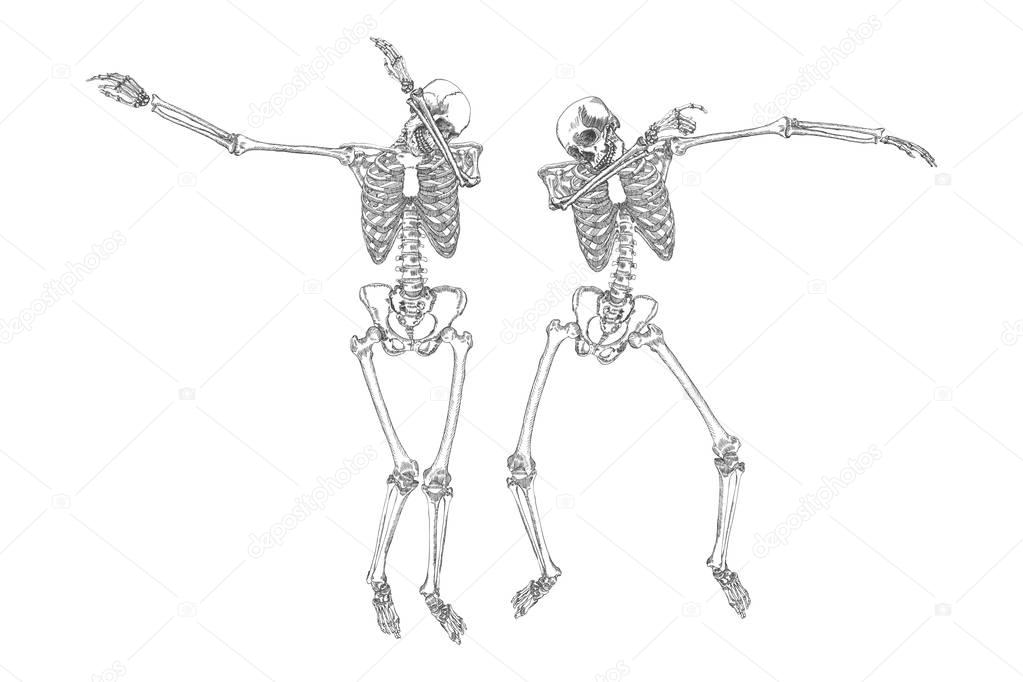 Human skeletons dancing sketch