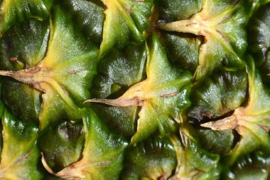 Ananas Meyve doku