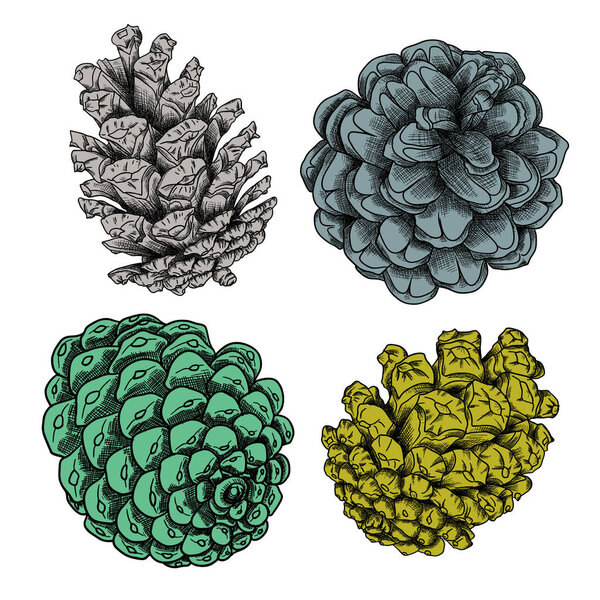 Set of cones sketches