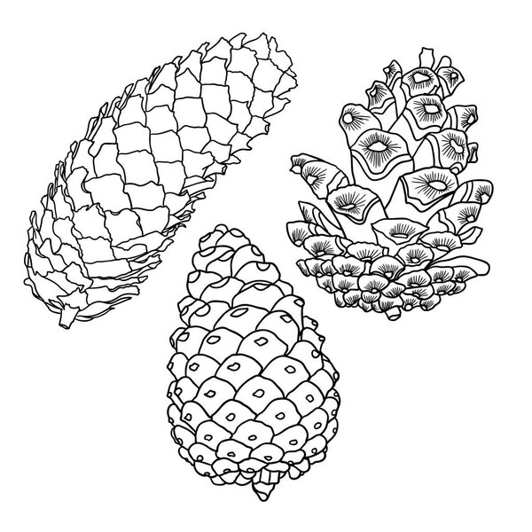 Set of cones sketches