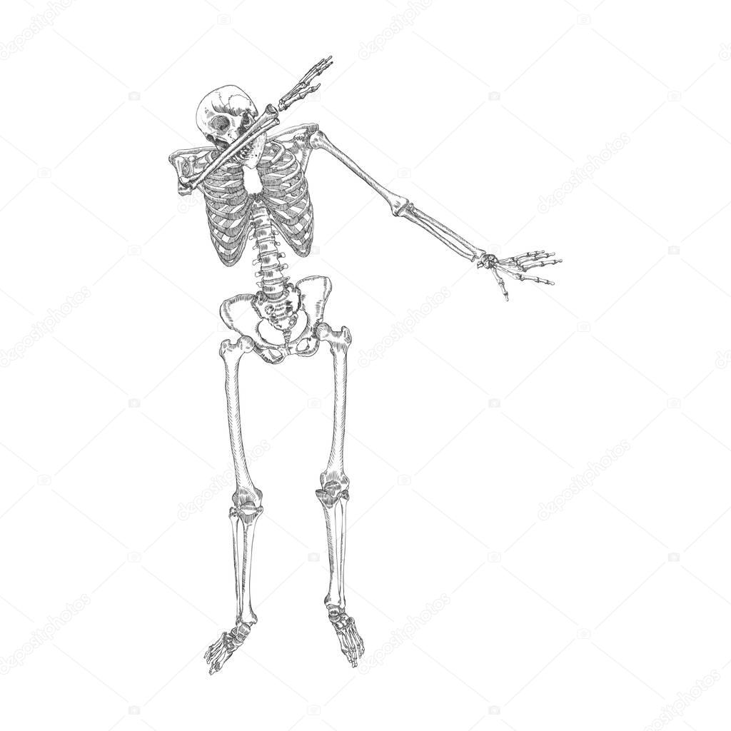 Human skeleton dancing sketch