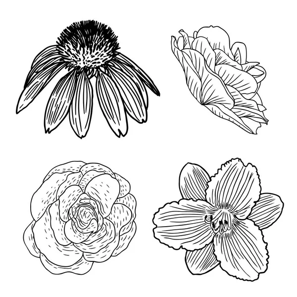 Цветы летнего сета — стоковый вектор