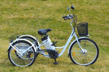 Park elektrik trike 
