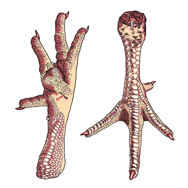 Ensemble de pieds de poulet — Image vectorielle