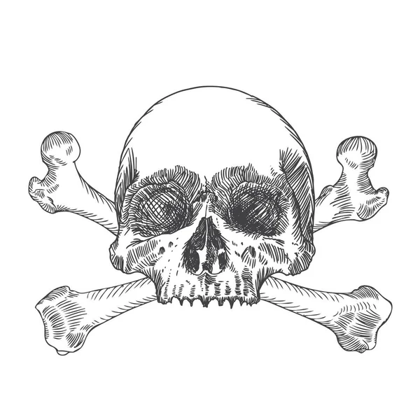 Skull and bones stock illustration. Illustration of skull - 111370654