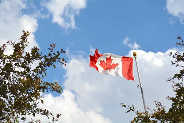 Bandera de Canadá ondeando contra el cielo — Foto de Stock