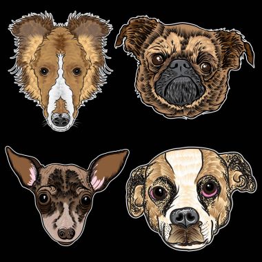Çizgi film köpekler illüstrasyonlar kümesi