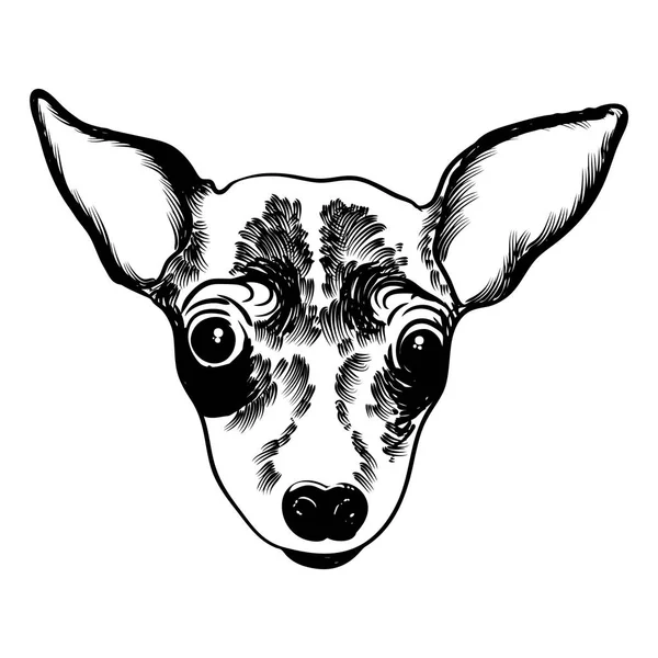 Spielzeug Terrier Doggy Illustration — Stockvektor