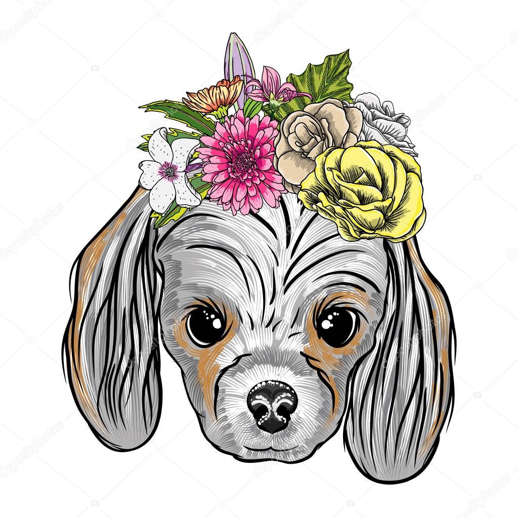 Cocker Spanie puppy illustration