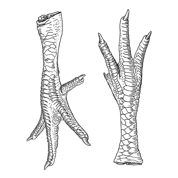 Hühnerfüße — Stockvektor