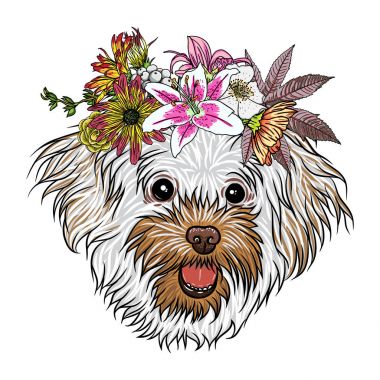 Çiçek çelenk içinde şirin Bolognese köpek yavrusu
