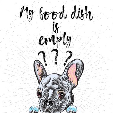 Fransız buldozer ile evde beslenen hayvan dükkan el ilanı