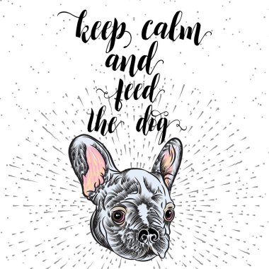 Fransız buldozer portresi