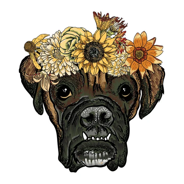 Boxeador cachorro en las flores exóticas — Vector de stock