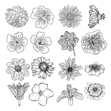 Çiçek çizimleri kümesi