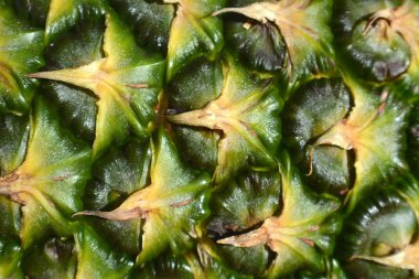 Ananas Meyve doku