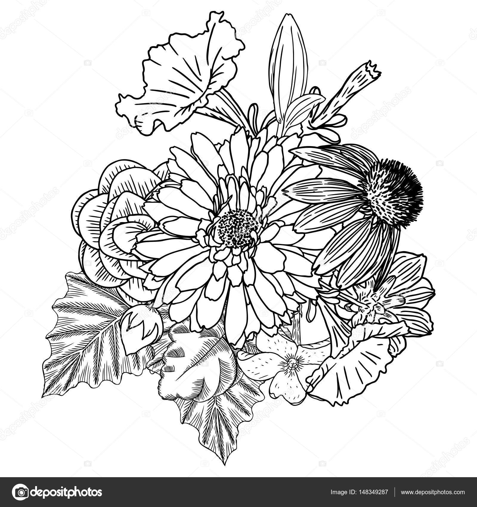 Bouquet Of Different Hand Drawn Flower Vector Image By C Goldenshrimp Vector Stock 148349287