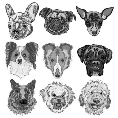 Vektör farklı köpek doğurmak-in ayarla
