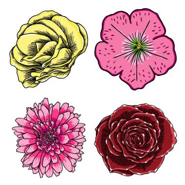 Tropikal çiçek ayarla