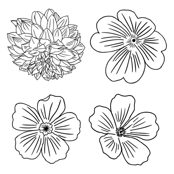 Ensemble d'illustrations de fleurs — Image vectorielle