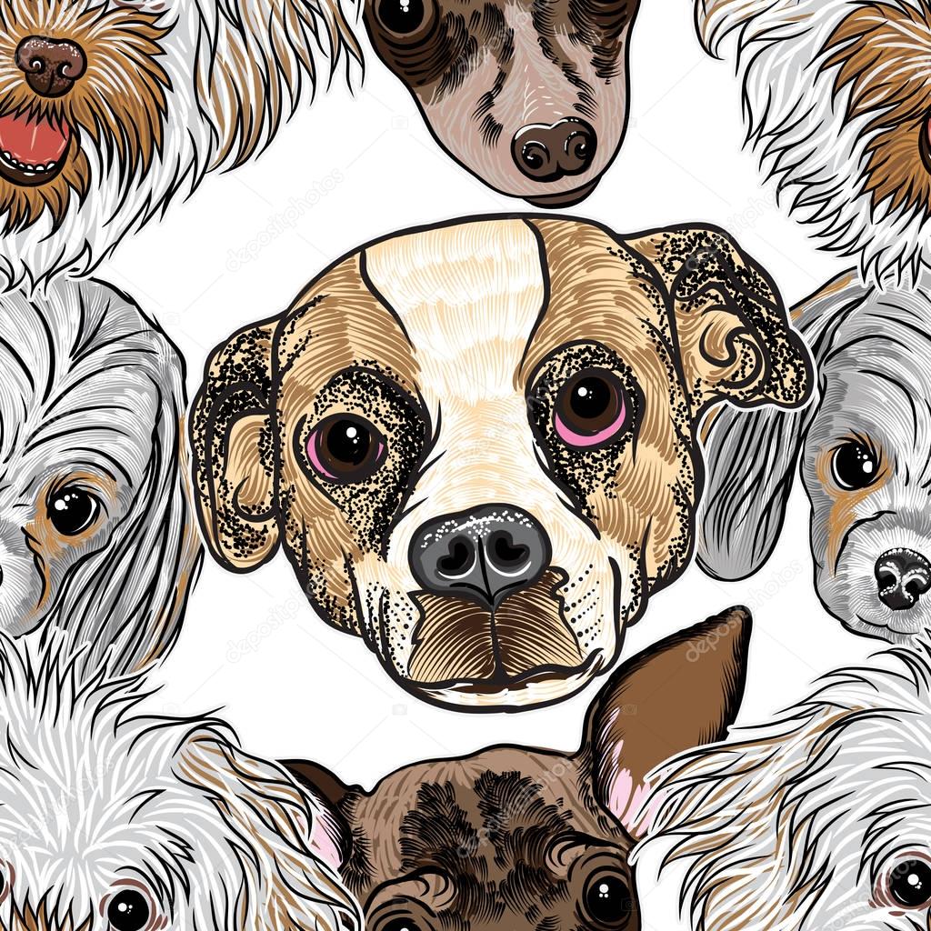 Seamless pattern with portrait of dogs