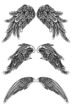 Elle çizilmiş illüstrasyon kanat seti