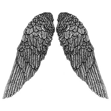 Kanatları kroki çifti