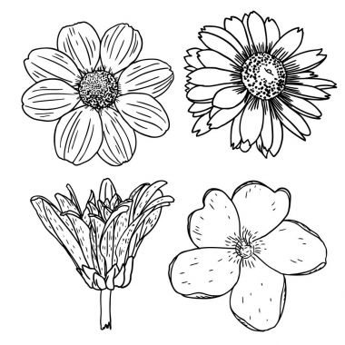 Yaz kümesinin çiçek