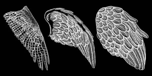 Illustration dessinée à la main des ailes — Image vectorielle