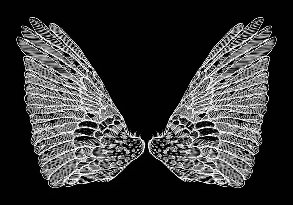 Wings pair sketch — Stock Vector