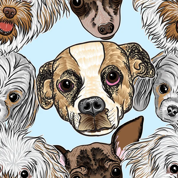 Бесшовный рисунок с собаками — стоковый вектор